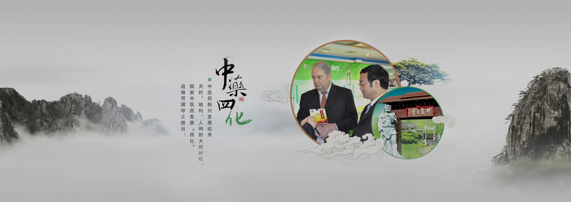 湖州建站-若一医药科技