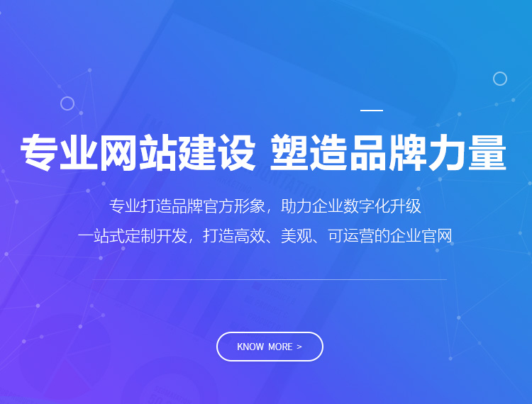 湖州建站-专业网站建设 塑造品牌力量